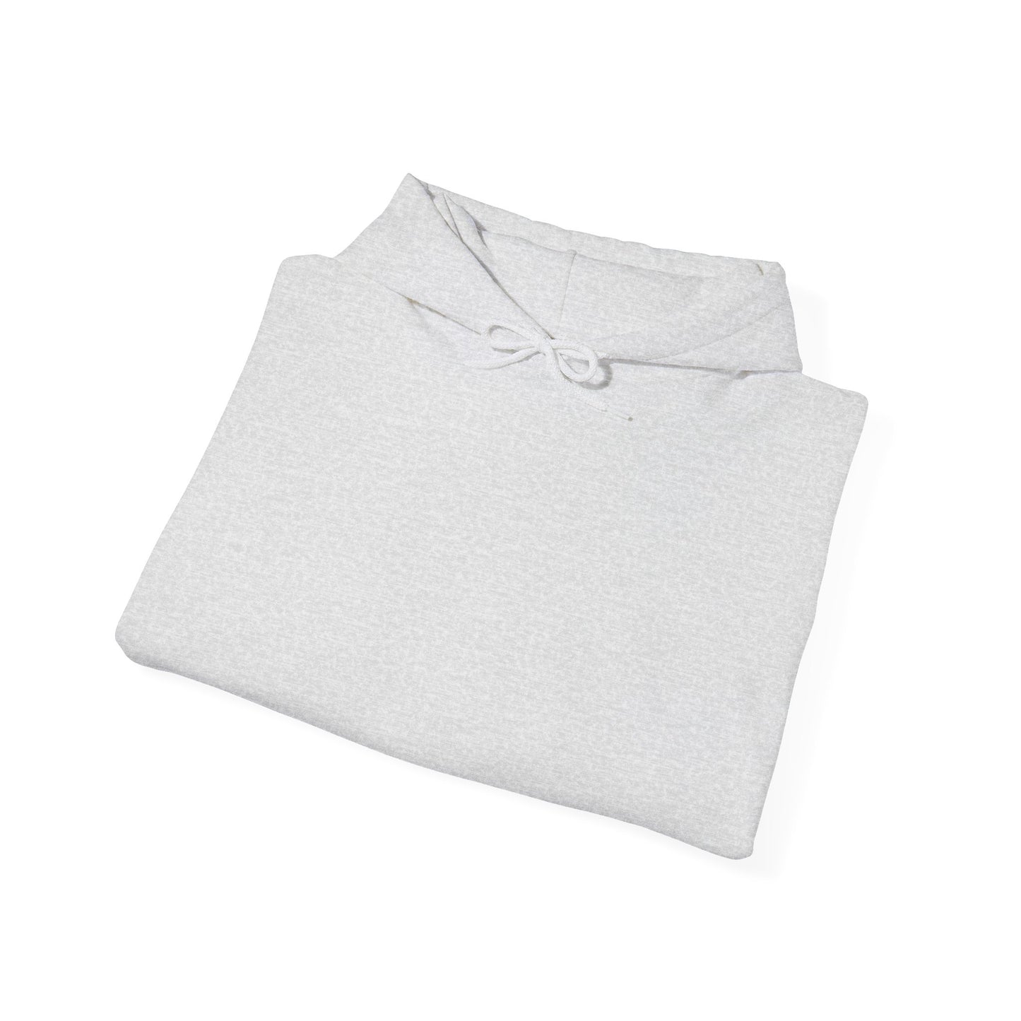 HDMI Hoodie